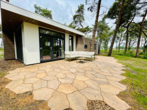 Ferny Cabin